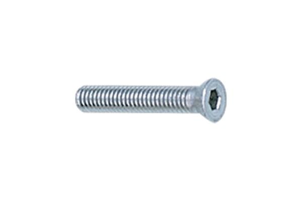 Gewichtsschraube Bear, neue Ausführung, 0,5 oz.